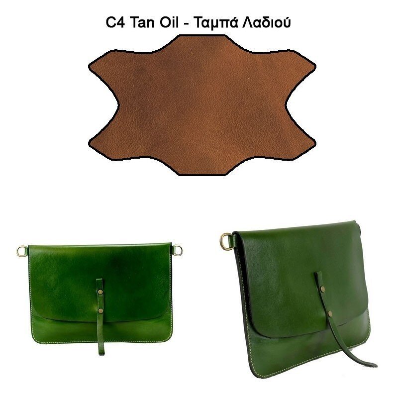 tsanta_xiasti__megalostrath_gnhsio_derma (8)