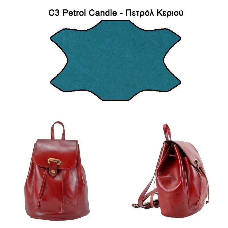 sakidio_plaths__alkyonh_gnhsio_derma (6)