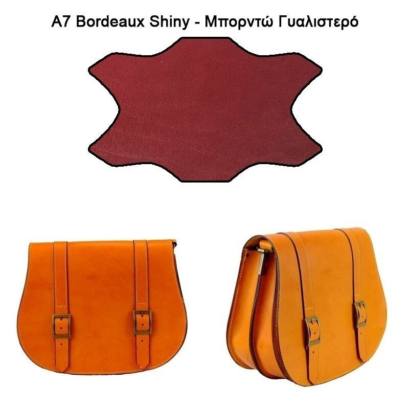 tsanta_xiasti__ksenodikh_gnhsio_derma (1)